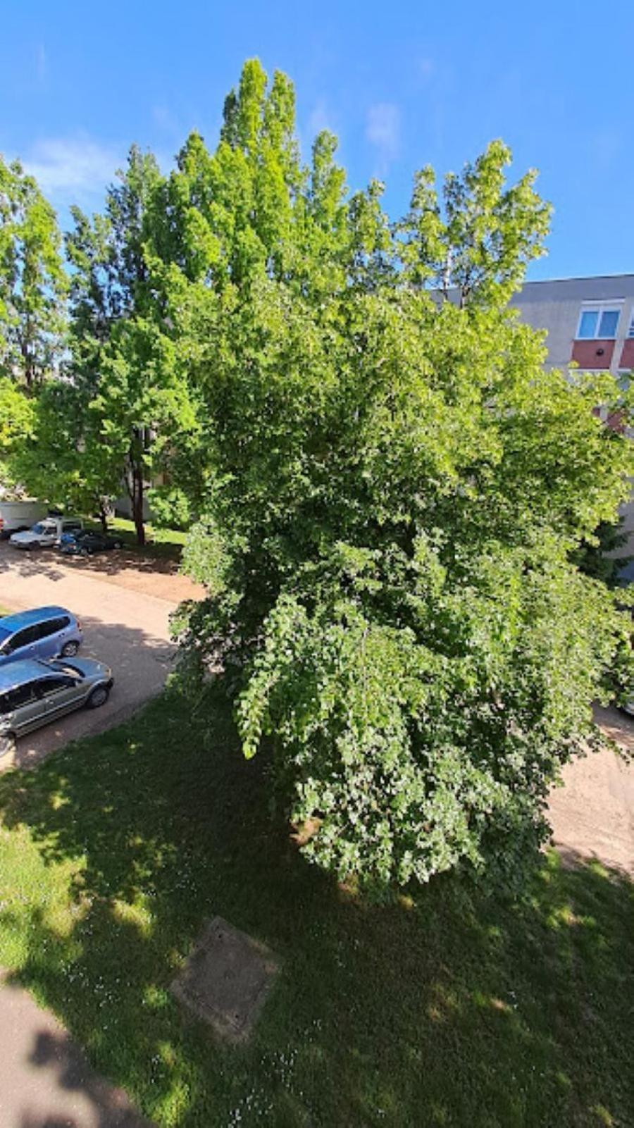 Szilfak City Apartman ハイデゥソボスロー エクステリア 写真